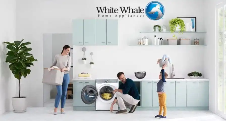WhiteWhale — blog 1